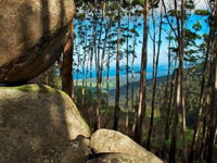 Gulaga Mountain Walk - New South Wales Tourism 
