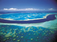 Hardy Reef - Palm Beach Accommodation