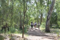 Hay Free Push Bikes - Tourism Canberra