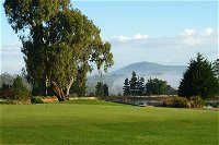 Kangaroo Tours at Gisborne Golf Club Inc - Find Attractions