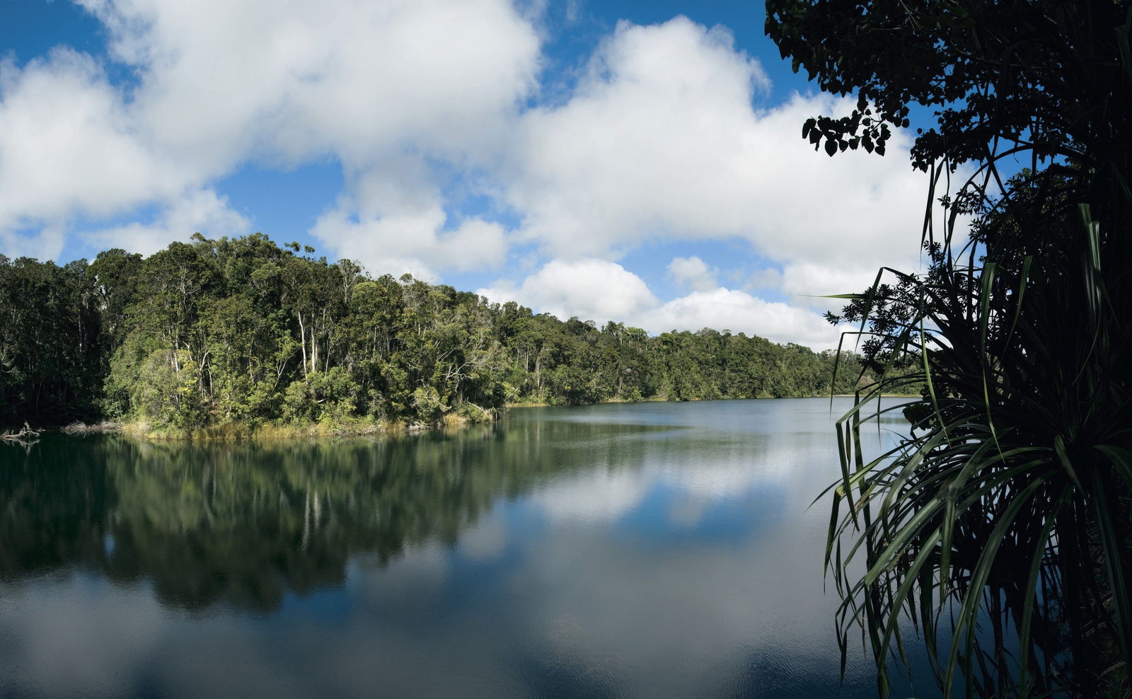 Lake Eacham QLD Attractions Sydney