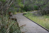 Leschenault Peninsula Conservation Park - Accommodation QLD