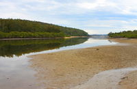 Mangrove Walk - Accommodation Mermaid Beach