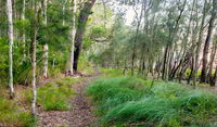 Meroo Lake walking track - Accommodation Cairns