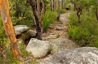Mount Olive Trail - ACT Tourism