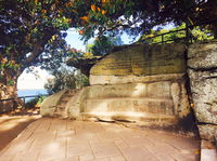 Mrs Macquarie's Chair Sydney - Tourism Cairns