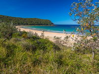 North Durras Beach - Attractions