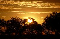 Paroo-Darling National Park - Accommodation Cooktown