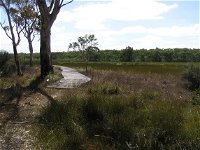 Penola Conservation Park - Accommodation Broken Hill