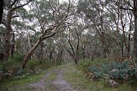 Pink Line and Loop Trail - Mountain Biking - Accommodation in Brisbane
