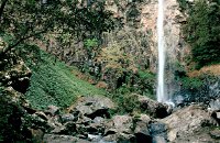Rawson Falls Walk - Accommodation Tasmania