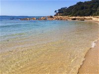 Shelly Beach Picnic Area - Moruya Heads - Accommodation Sunshine Coast