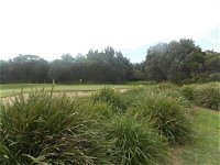 Shoalhaven Heads Golf Club - Yamba Accommodation
