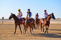 Simpson Desert Racing Carnival Trail - Palm Beach Accommodation