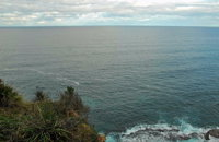 Snapper Point Lookout