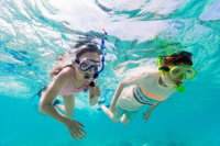 Snorkel Hat Head Creek - Gold Coast Attractions