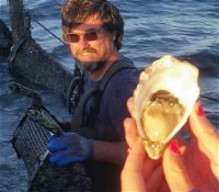 Southern Yorke Oysters - Broome Tourism