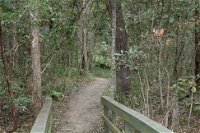 Springwood Conservation Park - Attractions