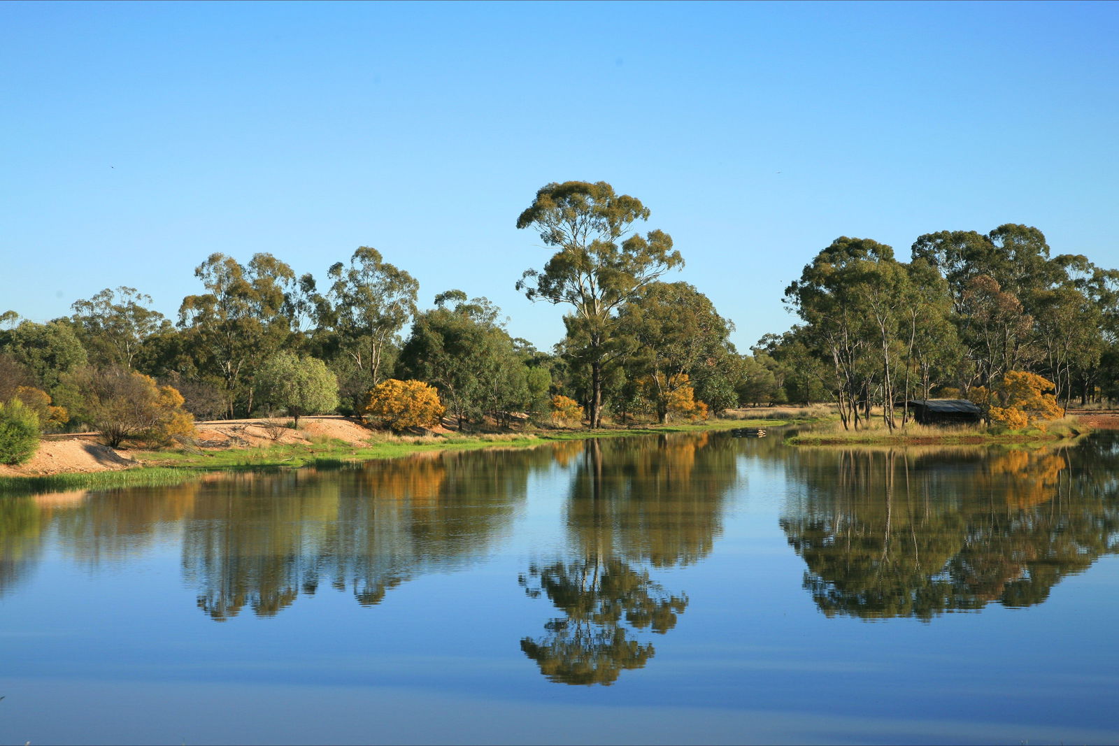 The Gums QLD Tourism Caloundra