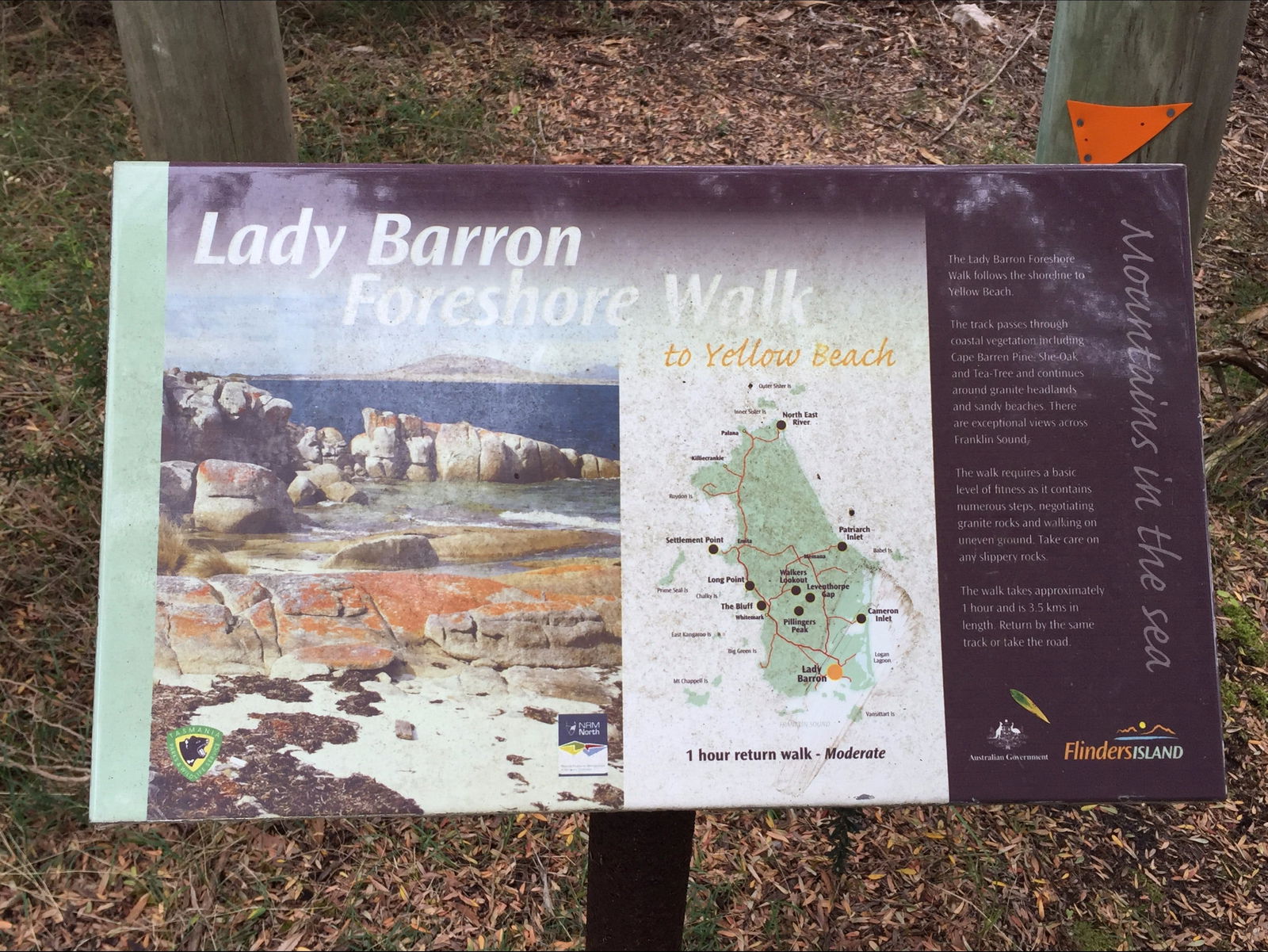 Lady Barron TAS Whitsundays Tourism