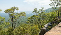 The Narrow Place lookout - Accommodation Mount Tamborine