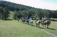 Timbertops - Horse Riding - Accommodation Fremantle