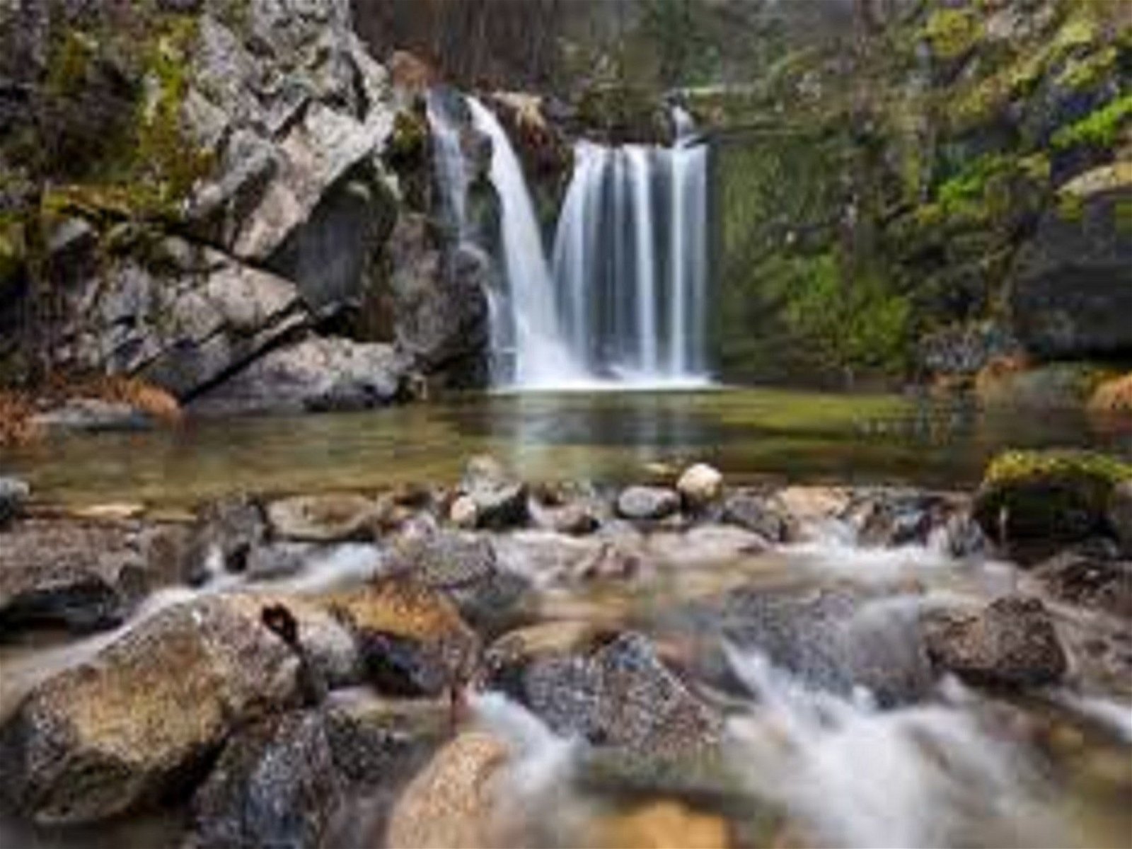 Upper Crystal Creek NSW QLD Tourism