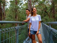 Valley of the Giants Tree Top Walk - Tourism Brisbane