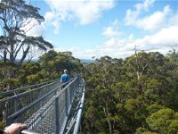 Walpole-Nornalup National Park - Find Attractions
