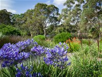 Wittunga Botanic Garden - Accommodation Search
