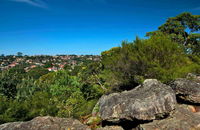 Wolli Creek Regional Park - Maitland Accommodation