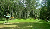 Woolgoolga Creek Picnic Area - Accommodation Cooktown