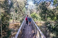 Yea Wetlands Walk - Accommodation Tasmania