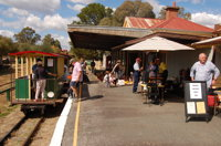 Alexandra Timber Tramway and Museum - Accommodation Tasmania