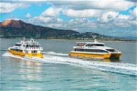Apex Camps Magnetic Island Group Accommodation Activities and Events - Accommodation Tasmania