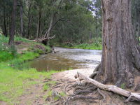 Bangadilly National Park - Stayed