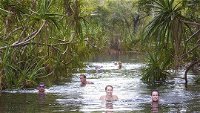 Berry Springs - Accommodation Cooktown