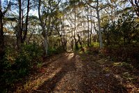 Booderee National Park Munyunga Waraga Dhugan Walking Trail - Redcliffe Tourism