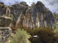 Borenore Karst Conservation Reserve - ACT Tourism
