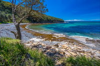 Burns Bay - Gold Coast Attractions