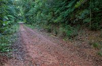 Cascade mountain bike trail - Accommodation Australia