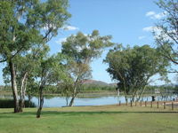 Celebrity Tree Park - Lightning Ridge Tourism