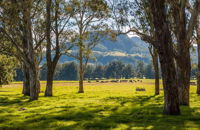 Coast to the Highlands Scenic Drive  Kangaroo Valley - Accommodation NSW