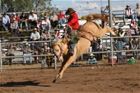 Coonamble - Attractions