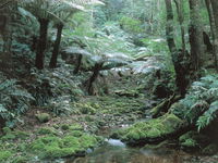 Corn Trail - Perisher Accommodation