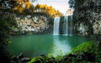 Dangar Falls - Gold Coast Attractions