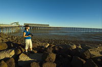 Derby Jetty - Accommodation Tasmania