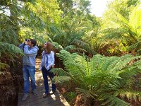 Endeavour Fern Gully Walks - Broome Tourism