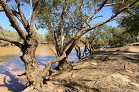 Eulo Five Mile Waterhole - Accommodation Gold Coast