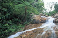 Finch Hatton - Maitland Accommodation